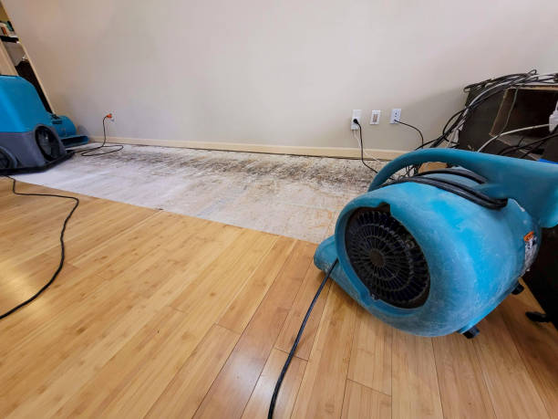 Professional Structural Drying technician working in Lowellville, OH